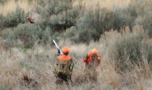 Arlington Oregon Bird Hunting